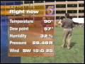 20020416 kstp 5 weather juggling