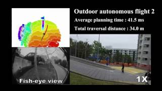 Gradient-Based Online Quadrotor Safe Trajectory Planning in 3D Complex Environments