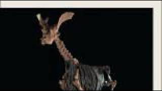 Biology Letters | Wikipedia audio article