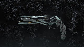 Lumina: The New Best Hand Cannon?