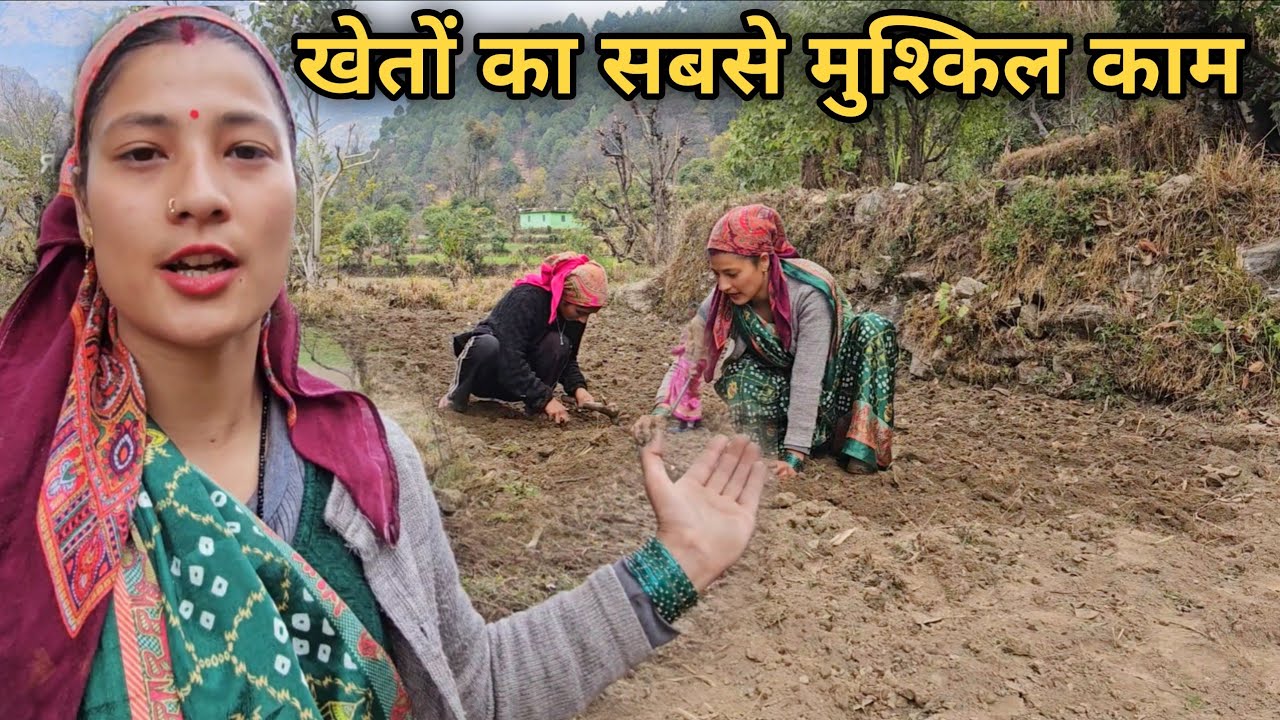 जिम्मेदारी ऐसी होती हैं.. मायके से लौटकर ससुराल में खेतों का काम ||village life vlog||