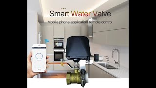 Valvola Intelligente WiFi E Bluetooth Per Acqua E Gas – Controllo Da App E Vocale, Per Casa, Giardino E Irrigazione, 12V - 2
