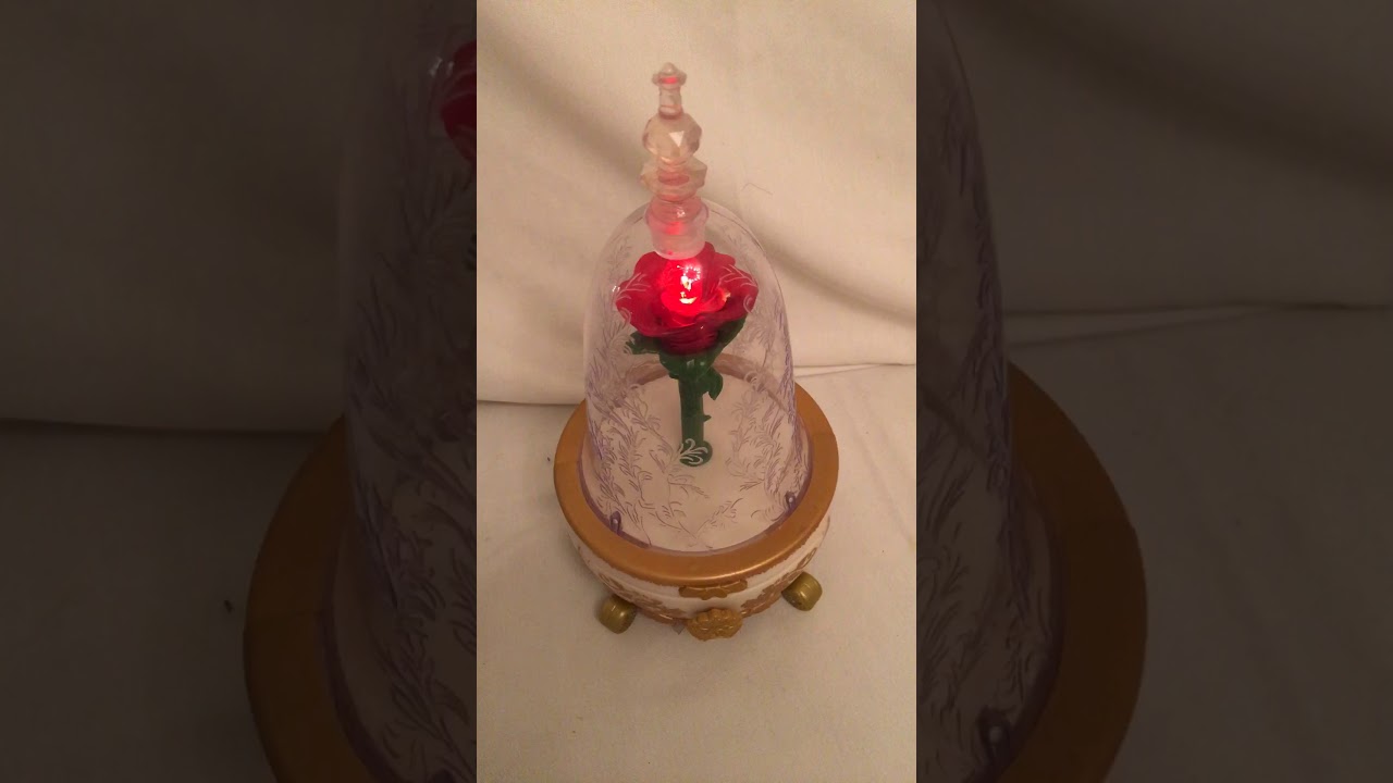 Beauty and the beast musical box - YouTube