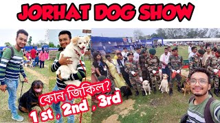 Dog show Jorhat | Cute puppy  | #jorhatdogshow First time ever | #pug #lhasa #GSD  #rottweiler