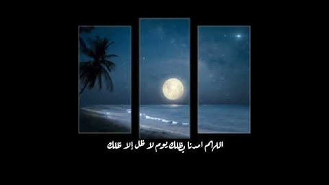 حالات واتس اب/سورة الزمر للقارئ/ياسر الدوسري