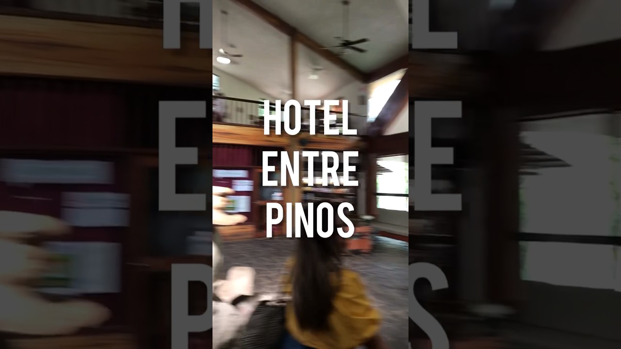 El árbol de Forrest Gump en hotel entre pinos 🌲 Chalatenango El Salvador 🇸🇻