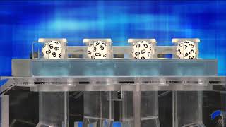 Evening Drawing for Tuesday January 27, 2026