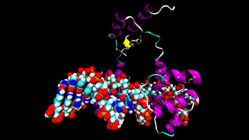 In pursuit of an accurate spatial and temporal model of biomolecules at the atomistic level -3