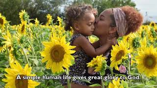 Titus Brandsma's reflection on the Blessed Virgin Mary as a sunflower