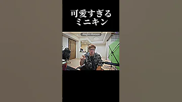 可愛すぎるミニキン ヒカキン 