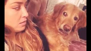 Funny GIFs 18