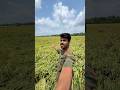 আজক জম ত ধ ন ক টত গ য হঠ ৎ ব ষ ট ত সব বন ধ Minivlog Shorts Vlog 