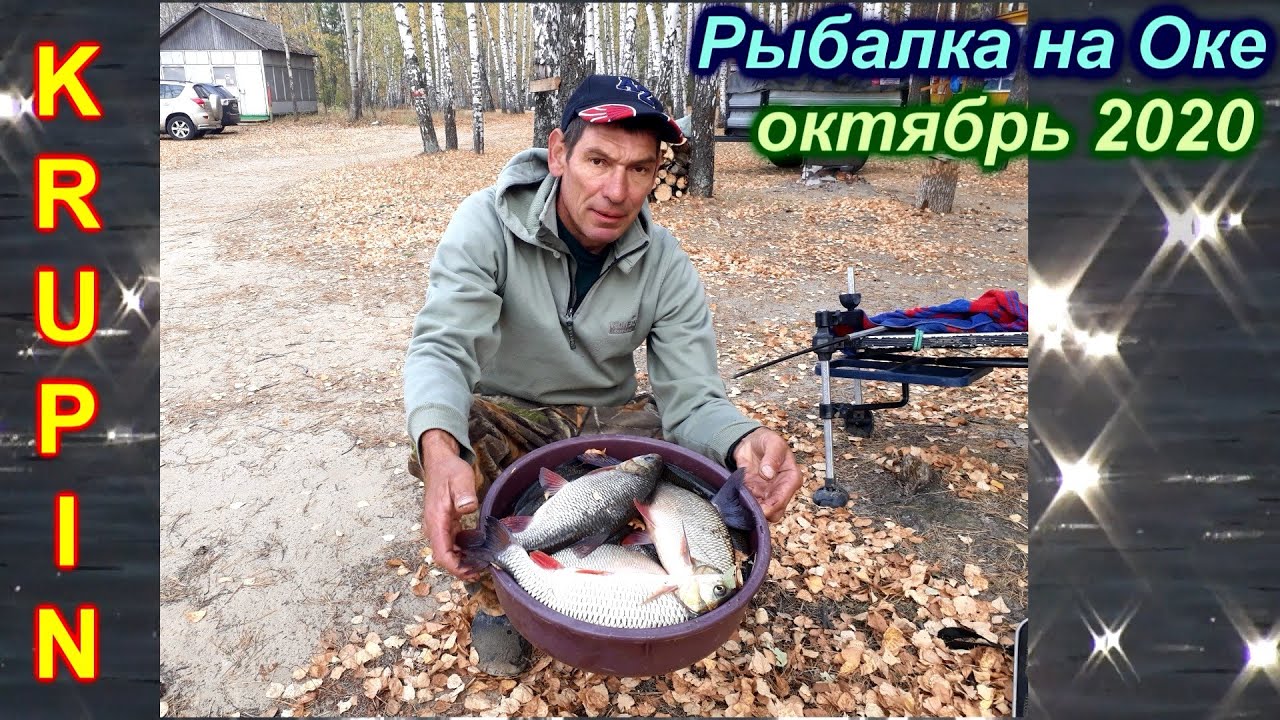 Маркелыч рыбалка на оке
