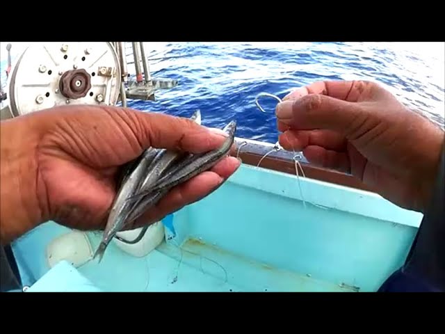 Longline Fishing Deep Sea using large and powerful electric reel