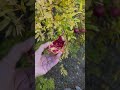 Örgüden sonra en büyük hobim Doğayı keşfetmek.Peki sizin hobileriniz neler? Yorumda buluşalım #hobi