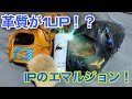 【革命】革質が1UP！？アイピーセレクトのエマルジョンオイルをレビュー！