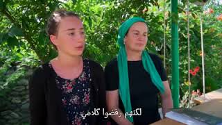 حقيقة زواج العرب من بنات الشيشان