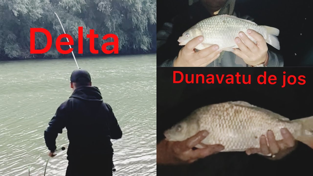 Pescuit la feeder in Delta Dunării,pe Dunavatul de Jos 2023!
