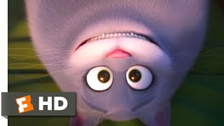 The Secret Life of Pets 2  Chloe on Catnip Scene (3/10) | Movieclips