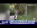 太誇張! 夫婦帶工具上山 阿里山珍稀蘭花險被摘光｜TVBS新聞 @TVBSNEWS01