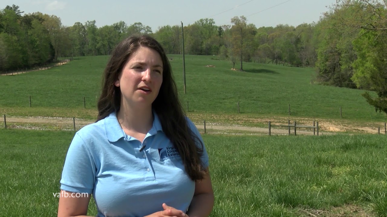 Powhatan County Agricultural Close-up