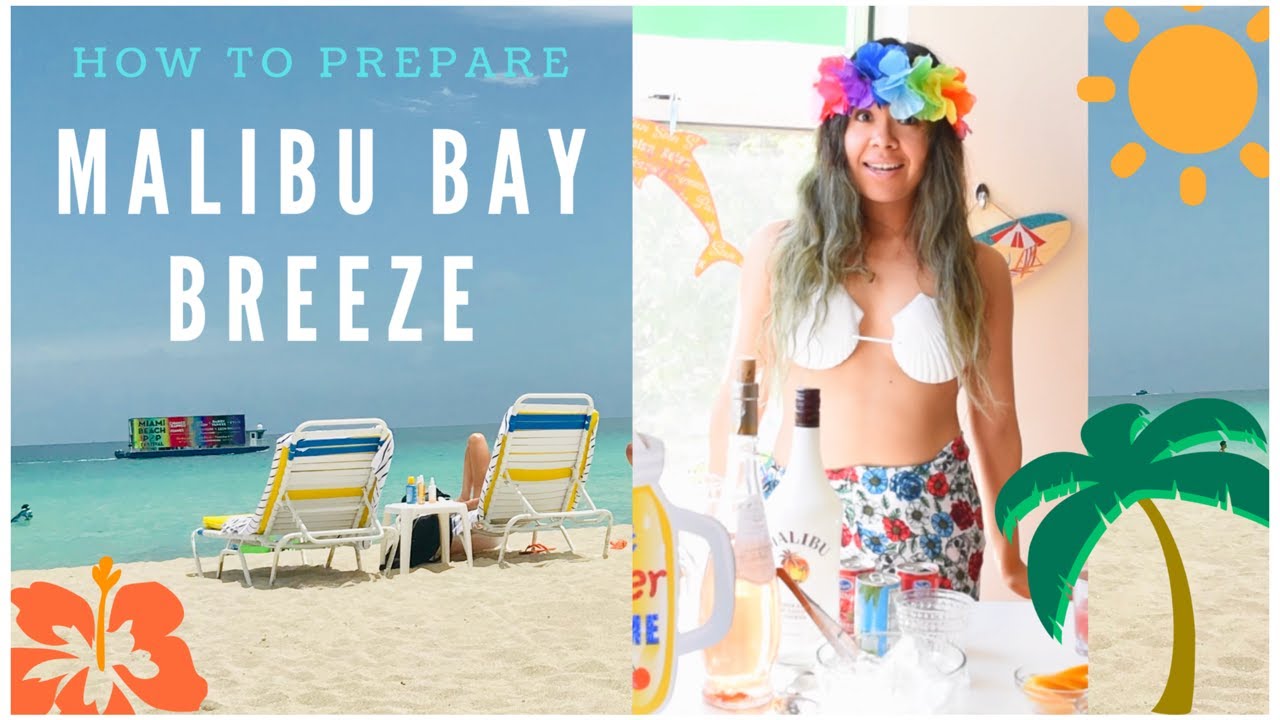 Malibu Bay Breeze How To Prepare It Easy Dizzy Youtube