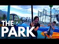 A Day At The Park