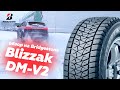 Обзор шин Bridgestone Blizzak DM-V2 (Народный тест-драйв)