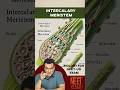 INTERCALARY MERISTEM | Anatomy of Plants | class 11 | NEET BIOLOGY | #neet #science #biology #ncert
