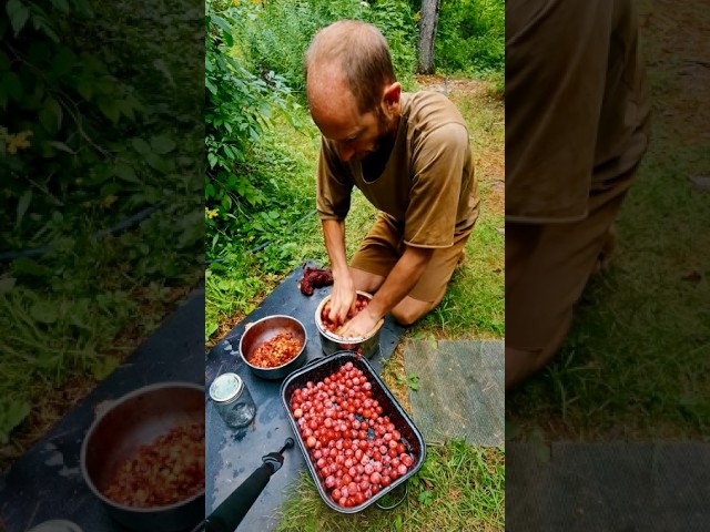 Thumbnail for Day 322 Update Foraging 100% of My Food