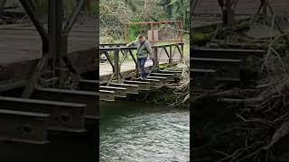 RARE BRIDGE NEAR FROME   #shortvideo
