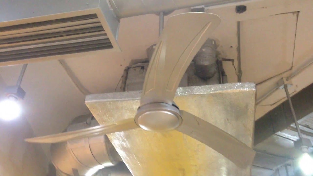 Hunter Osprey Commercial Ceiling Fans In A Restaurant Youtube