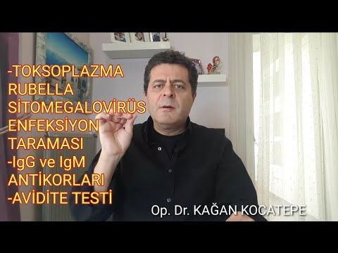 GEBELİKTE TOKSOPLAZMA, RUBELLA, CMV IgG VE IgM ANTİKOR TESTLERİ NASIL YORUMLANIR, AVİDİTE NEDİR?