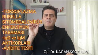 GEBELİKTE TOKSOPLAZMA, RUBELLA, CMV IgG VE IgM ANTİKOR TESTLERİ NASIL YORUMLANIR, AVİDİTE NEDİR?