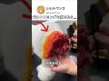 犬のトリミングを任せたら…