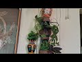 planterstand ideas with waste material #gardendecor #kabadsejugad #reuse