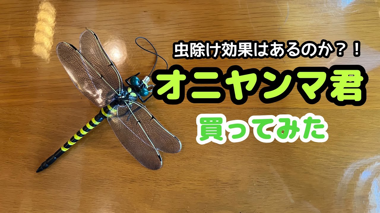 虫除け効果はあるのか？【リアルなオニヤンマ君】を買ってみた #オニヤンマ