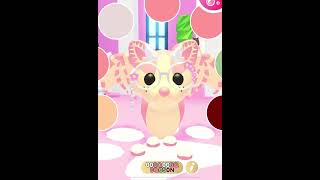 Adopt me paint codes ( cute ) ~ x kitty x cookie x ~ #adoptme#edit#coquette#colour#pets