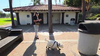 Tcb Ziggy Stardust SWE SCM SCEE SCNE CGCU TKI VSWI L1C 08/21/26 Exterior Master search with 4 hides