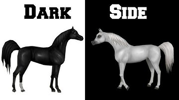 [SSO MEP] - DarkSide