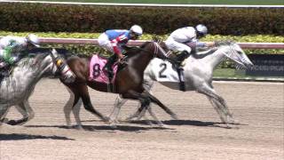 Gulfstream Park Replay Show | May 8, 2016