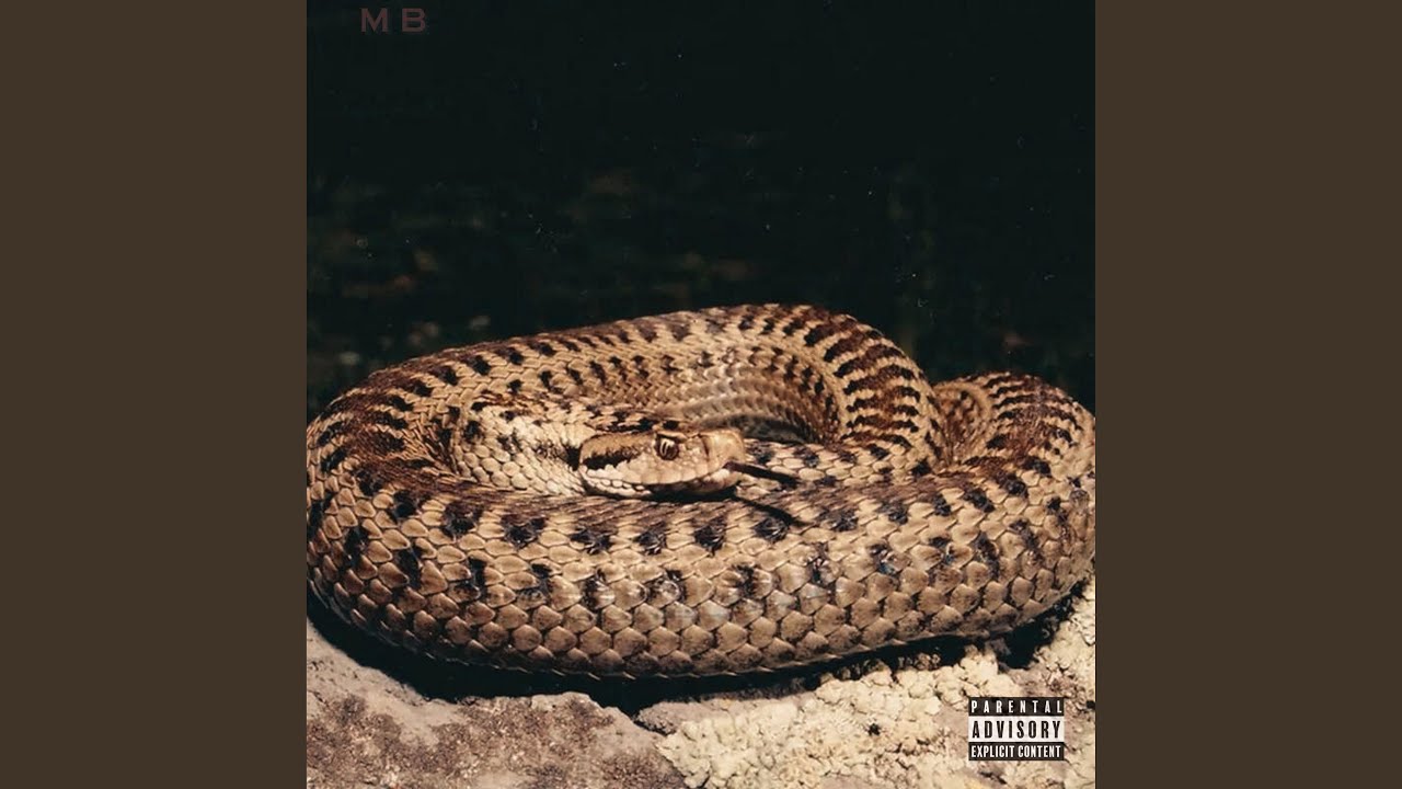 Watch Snakes on YouTube Watch Snakes on YouTube