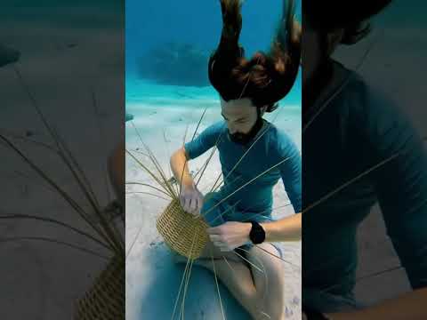 🌊 Underwater basketweaving, art meets patience weaving beauty beneath waves where imagination flows