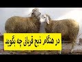 درهنگام ذبح قربانی چه بگوید ذبح قربانی 2019      