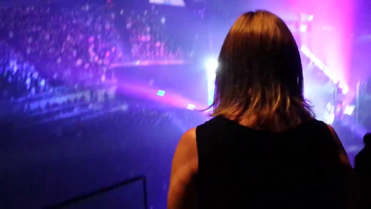 LINKIN PARK FINAL CONCERT O2 ARENA LONDON 2017...LEAVING OUT ALL THE REST