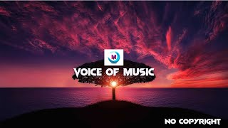 Erik Lund - Tokyo Sunset (Vlog No Copyright Music)