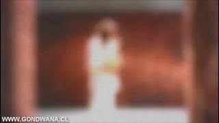 Gondwana - Antonia (Video Oficial)