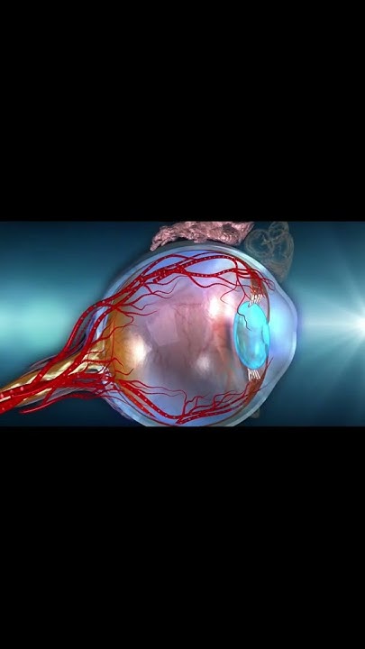 does-high-blood-pressure-cause-blurry-vision-youtube