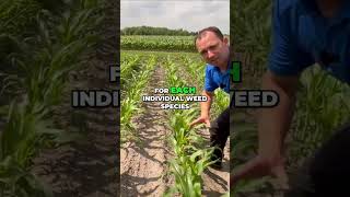 Premium Weed Control: 5 Modes of Action for Extreme Pressure #shorts