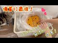 備蓄に！　おいしい無添加で健康の備えが最強！